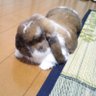 hapipi🥕's profile picture