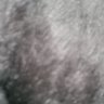 mahi pcm's profile picture