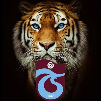 ANADOLU KAPLANI's profile picture