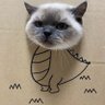 newgen again's profile picture