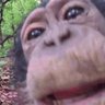 Profilbild von Joxz