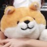 Profilbild von ひでまま