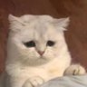 Profilbild von 曦曦