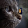 Una Pensadora Siempre profil fotoğrafı