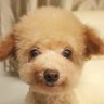 Фото профиля Vic Ma