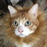 Profilbild von GUILTIA_BRION