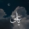 Hussein Ammar Abdulla 🔻's profile picture