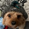 BusterDad's profile picture