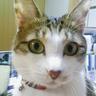 Profilbild von おにぎり