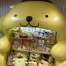 もねこ's profile picture