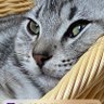 ヤマ profil fotoğrafı