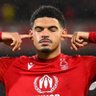 FPL Forest's profile picture