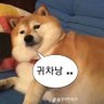 샍즈 的头像