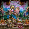 rajesh singh's profile picture