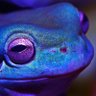 Фото профиля bYTEfROG