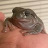 Profilbild von Toadmaster