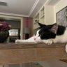 Mi fattee profil fotoğrafı