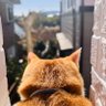 団子三兄弟's profile picture