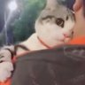 Profilbild von lixiansheng