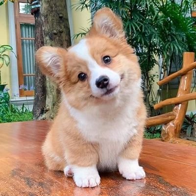 Airswp_'s profile picture