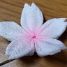 Фото профиля キラキラ好き