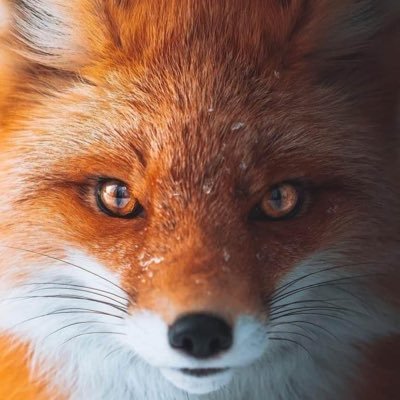 laura's profile picture