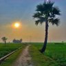স্বপ্নের সিলেট's profile picture