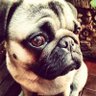 Aylen♡ profil fotoğrafı