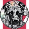 Rigman's profile picture