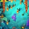 fish G profil fotoğrafı