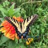 Фото профиля Bethany Stang