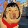มิสเชอ sᴍɪʟᴇʏ◡̈ 的头像