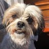 Arthur's profile picture