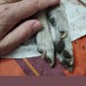 Фото профиля Riccardo