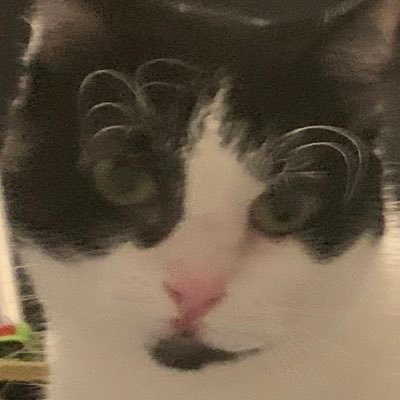 Sparkz2345LDG's profile picture