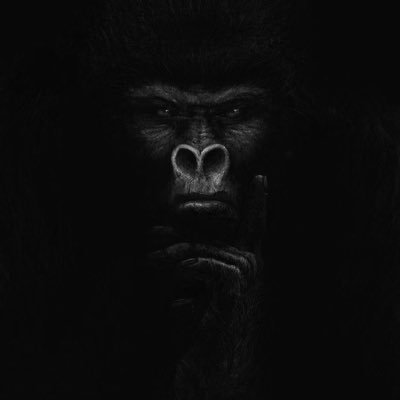 ÙÑČŁË BŁVČK ČÒFFÊË ♟️🦅's profile picture