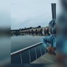 Gamze Akgül's profile picture