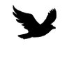 ابو عبدالله's profile picture