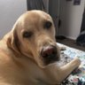 Mark's profile picture