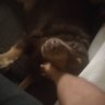 Dan DDD's profile picture