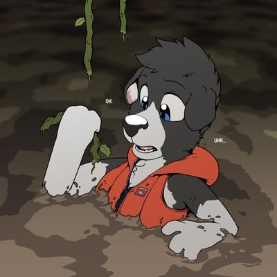 BazzCollie's profile picture