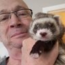 Profilbild von Bernard Proulx (Papa Fufus) 🇨🇦🇲🇽🇬🇱