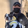 Profilbild von 太田垣康男