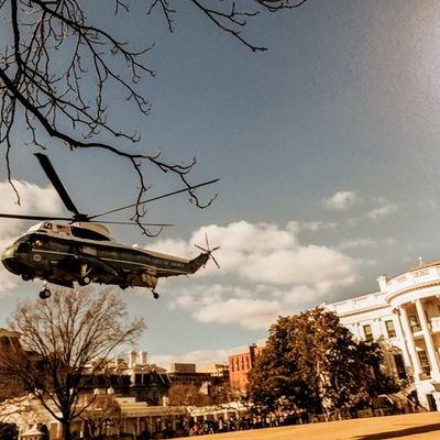 Brandon Johnson's profile picture