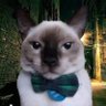 lot 030's profile picture