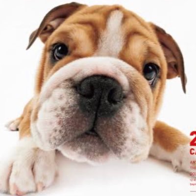 creative_racks's profile picture