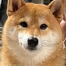 necome profil fotoğrafı