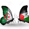 حفيدة الشهداء profil fotoğrafı