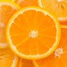 オレンジ🍊's profile picture