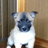 あねら 的头像
